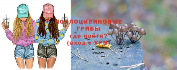 СК Балашиха