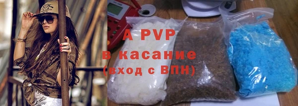 СК Балашиха