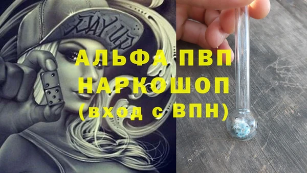 СК Балашиха