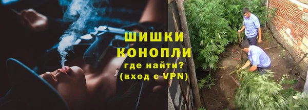 СК Балашиха