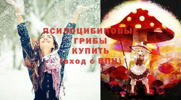 соль ск Пенза