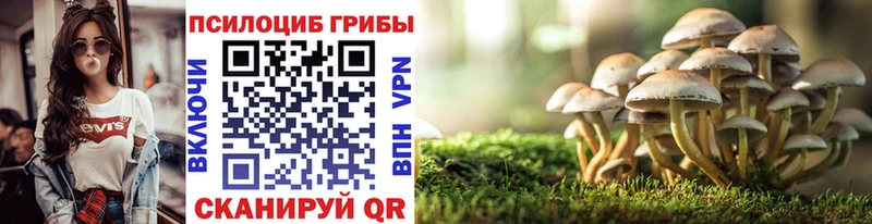 Псилоцибиновые грибы Cubensis  Купить закладки  Алагир 